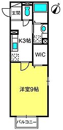 シャインローズ