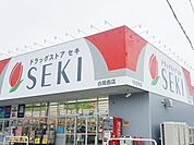 ドラッグストアセキ白岡中央店 717m