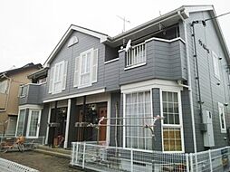 1 / 2