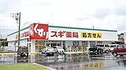 スギ薬局岩槻駅東口店 1416m