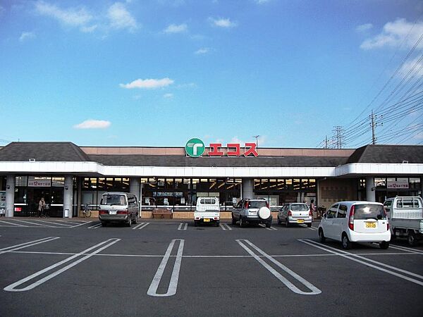 画像20:【スーパー】（株）TAIRAYA 川島店まで225ｍ