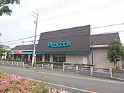 ピーコックストア箕面桜ケ丘店 969m