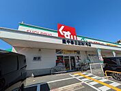 スギ薬局豊中春日店 789m
