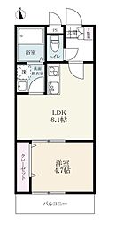ヴィレッタ伊万里