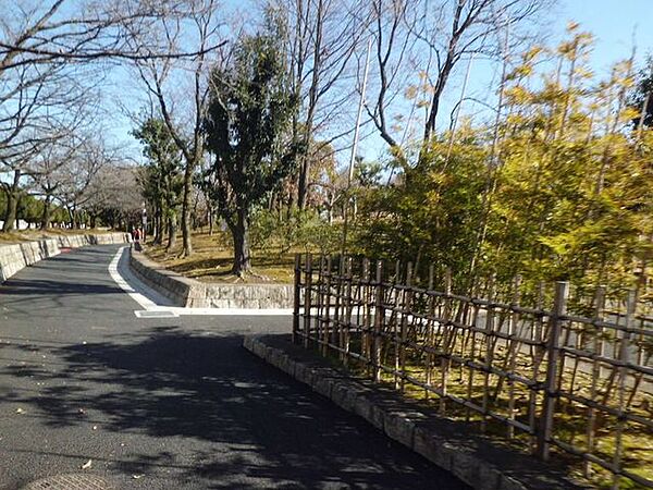 周辺を拡大表示