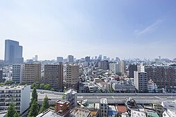 高層階ならではの開放的な景色が広がります。国立科学博物館附属自然教育園の緑を望めます(天候による)。大切なペットと一緒に暮らせるマンションです(細則有)。