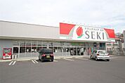 ドラッグストアセキ山川町店(540m)