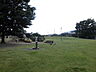 周辺：利保公園（256m）