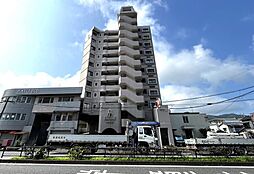 オークランド老松公園