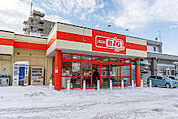 ザ・ビッグエクスプレス平岸店 324m