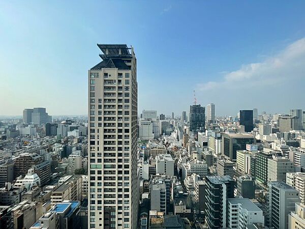 オーナーチェンジ物件ブランズタワー・ウェリス心斎橋SOU