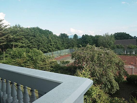お部屋からの眺...