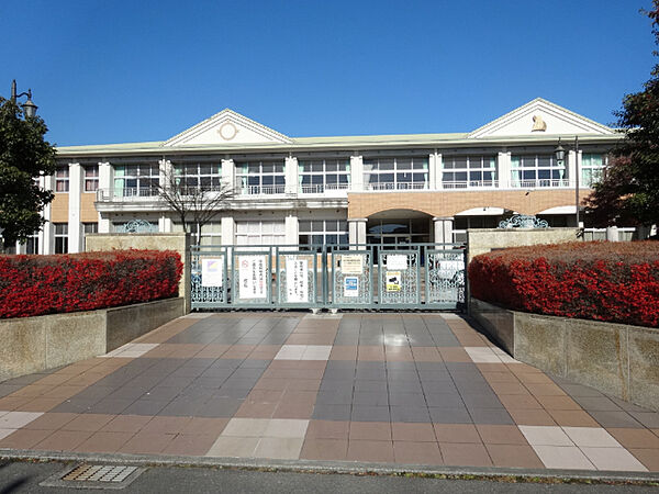 画像24:小学校「富士市立富士中央小学校まで1005m」