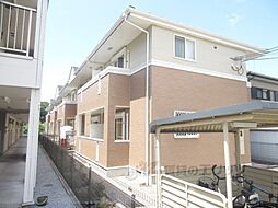 サウス　メディオ