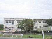 真野幼稚園まで1200メートル