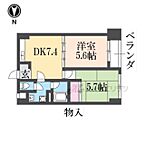 京都府京都市伏見区竹田中川原町：物件画像／株式会社エリッツ　新田辺店