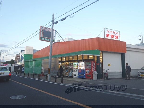 ハッピーテラダ　黄檗店まで600メートル