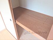 たっぷり入ります