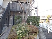 植栽