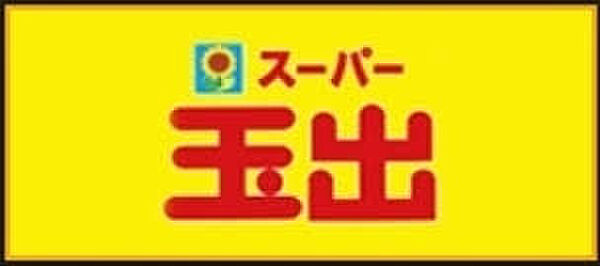 画像30:【スーパー】スーパー玉出 空堀店まで494ｍ