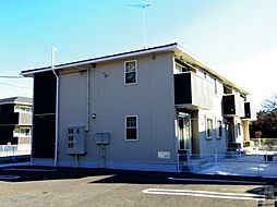 マンダリン ダック A