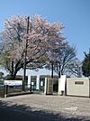 筑西市立関城西小学校 650m