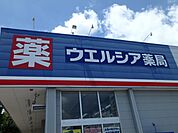 ウエルシア 753m