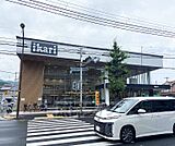 いかりライクス 常盤店まで113m