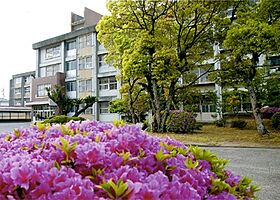 Fairy 弐番館 301 ｜ 徳島県鳴門市撫養町斎田字東発（賃貸アパート2LDK・3階・54.88㎡） その18