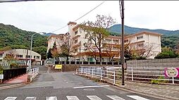 長崎市立南陽小学校 徒歩5分。 370m