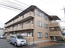 ハイム波多野II