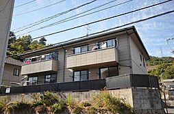 ディアスミドリA