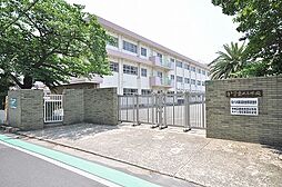 北九州市立筒井小学校（239m）