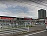 周辺：HalloDay（ハローデイ） 共立大前店（1031m）