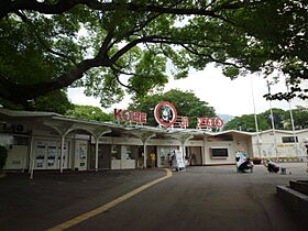 ロマネスク王子公園  ｜ 兵庫県神戸市灘区福住通5丁目（賃貸マンション1K・2階・18.56㎡） その25