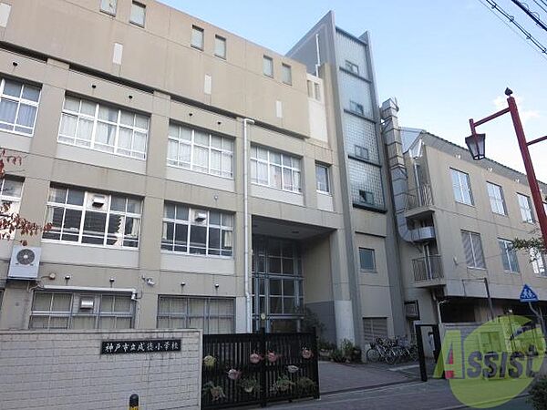 画像27:神戸市立成徳小学校 240m