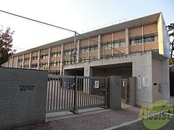 芦屋市立精道小学校 989m