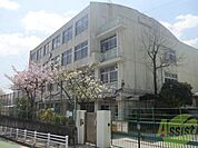 神戸市立渦が森小学校 204m