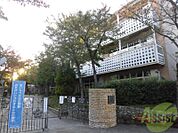 芦屋市立宮川小学校 567m