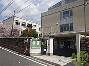 神戸市立住吉中学校 544m
