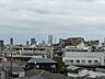 その他：スカイツリーを臨む眺望です。