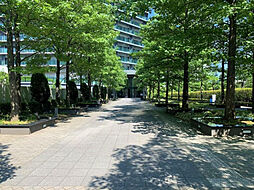 緑に囲まれたエントランスアプローチ