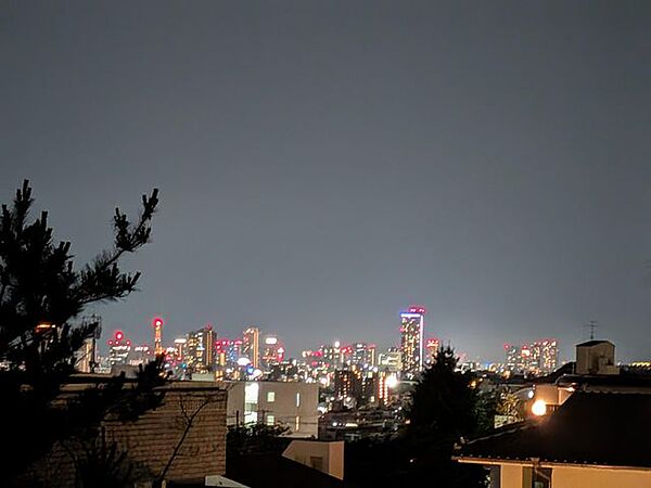 その他を拡大表示