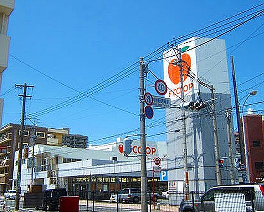 FCO・OP戸...