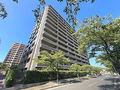 外観 外観