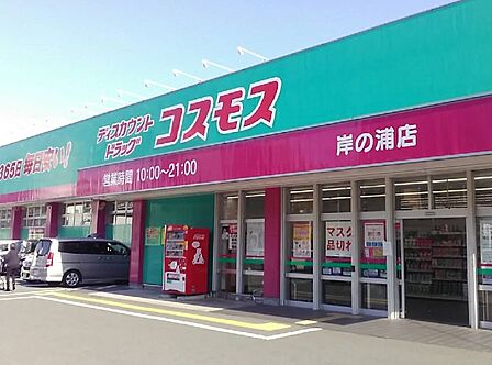 ドラッグストアコスモス 岸の浦店（780m）
