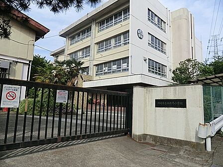 川崎市立西有馬小学校まで約290ｍ！