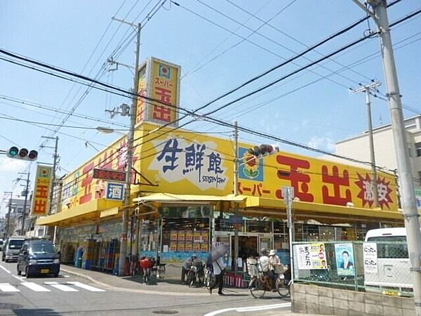 画像23:スーパー玉出平野店 692m