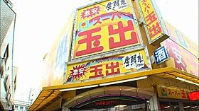 ホークシーム 303 ｜ 大阪府大阪市東住吉区鷹合3丁目（賃貸マンション1LDK・3階・30.48㎡） その19