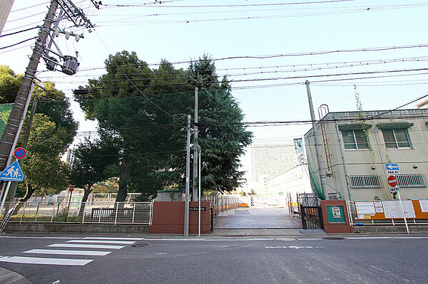 画像27:冨士中学校 1100m